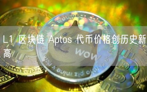 L1 区块链 Aptos 代币价格创历史新高-第1张图片-交易所